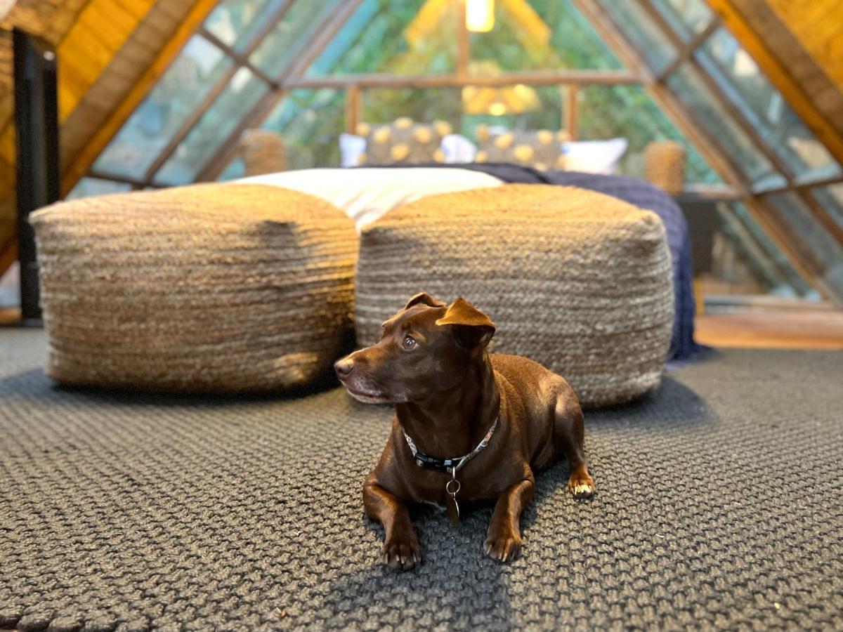 Bubblesky Glamping Guatape酒店 外观 照片